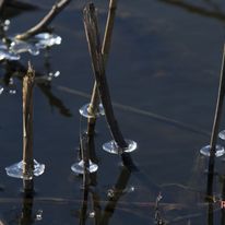 winter18-062a_1_orig