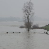 hoogwater-2_1_orig