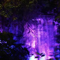 img-4241_1_orig