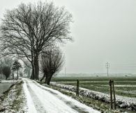 img-7240-schelluinen-lansscheiding_1_orig