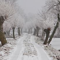 08-01-2009-052-kopie_1_orig