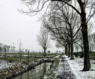 img-7218-schelluinen-langs-voetbalveld-kopie_1_orig