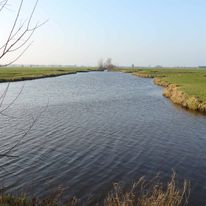 p1420004_1_orig