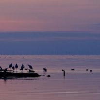 20170901053531-mg-9310_1_orig