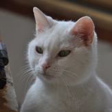 thumbnail-dsc-0092_1_orig