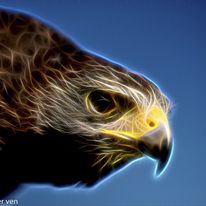 dsc0250-2-cornel-2_1_orig