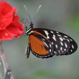 thumbnail-dsc-0111-001_2_orig
