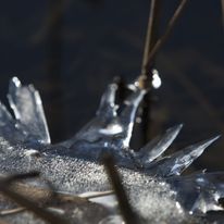 winter18-047_1_orig