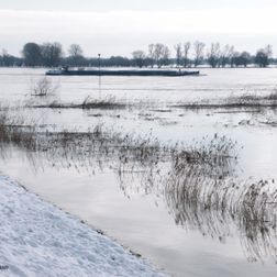 WINTERTOTOS 2021 (16)
