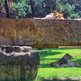 AAK  (3)